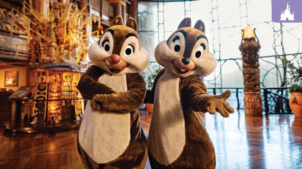Disney World Bounceback Offer, Picture