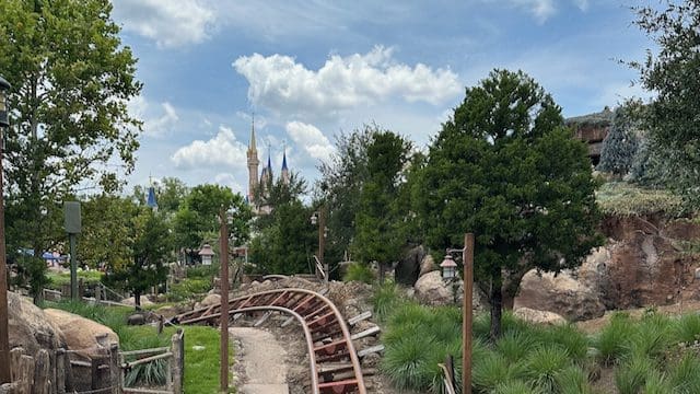 best time to visit Disney, Picture