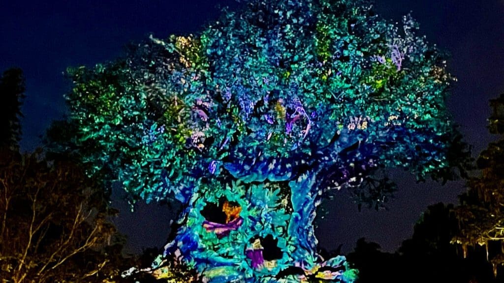 Tree of Life Awakenings Returns
