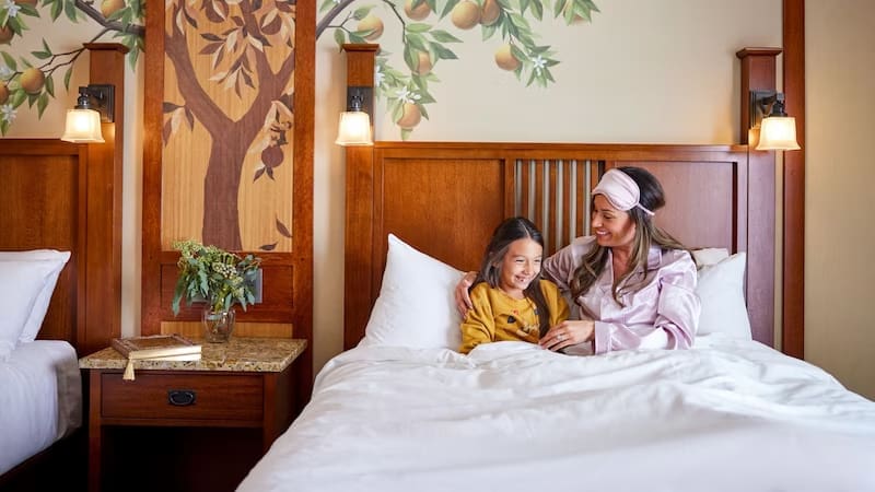 Disneyland Resort Offer