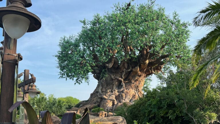 Ultimate Strategy Guide to Animal Kingdom Rope Drop in 2024