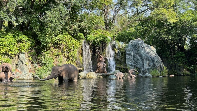 New Permit Hints to Work on Jungle Cruise Underwater Systems